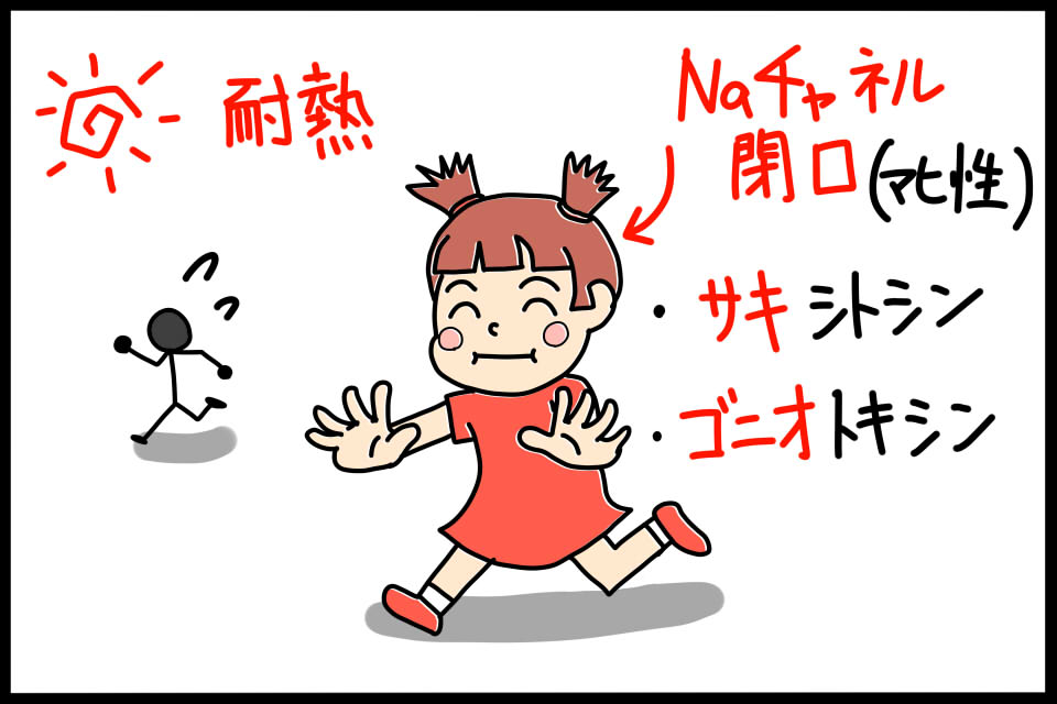 衛生学における麻痺性貝毒の特徴を暗記するためのゴロイラスト